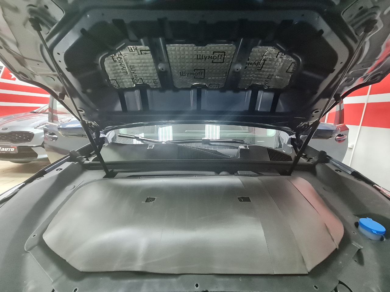 Капот вибро,обшивка шумо теплоизоляция шумоизоляция Exeed VX