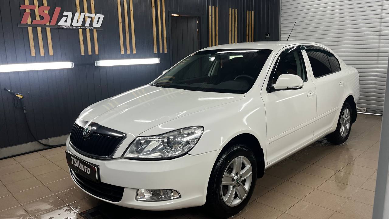 Мойка двигателя и подкапотного пространства Skoda Octavia A5 фото и цены в Воронеже
